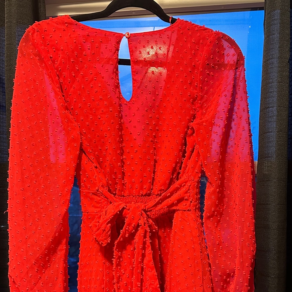 Red Textured Ruffle Mini Dress - Picture 3 of 4